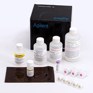 RNA Kit